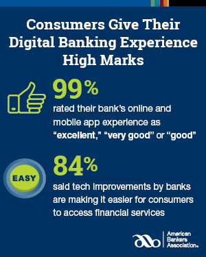 Consumer Survey Digital Banking Experience Infographic