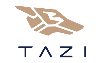 TAZI AI Systems