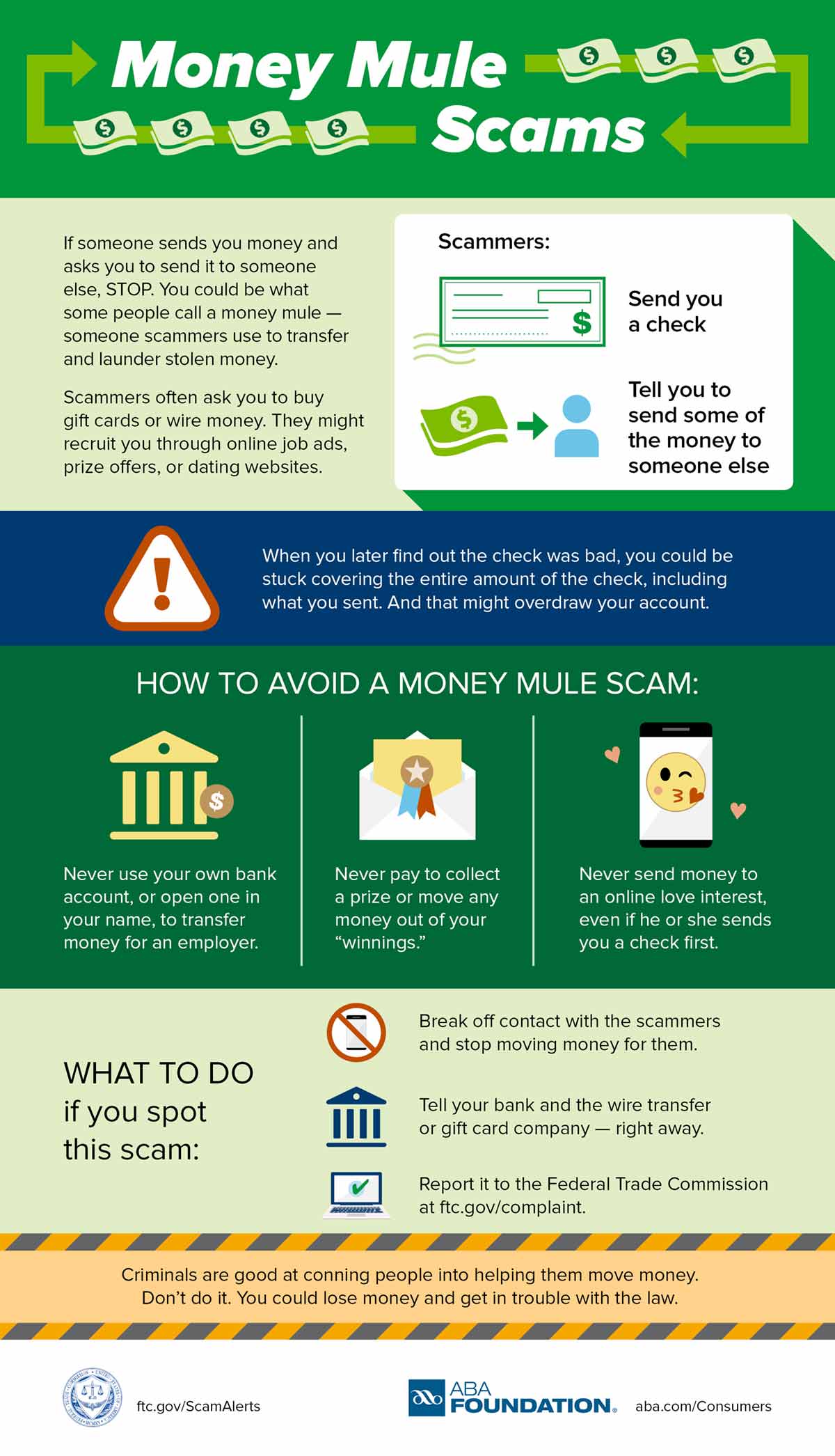 Money Mule Infographic
